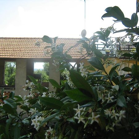Fattoria Del Pino Bed & Breakfast Орта Сан Джулио Екстериор снимка