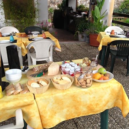Fattoria Del Pino Bed & Breakfast Орта Сан Джулио Екстериор снимка