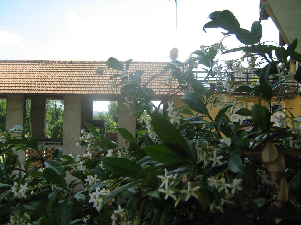 Fattoria Del Pino Bed & Breakfast Орта Сан Джулио Екстериор снимка