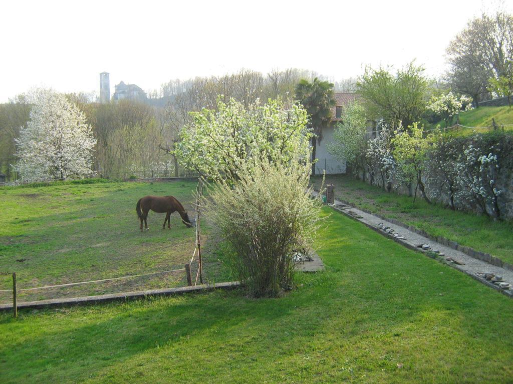 Fattoria Del Pino Bed & Breakfast Орта Сан Джулио Екстериор снимка