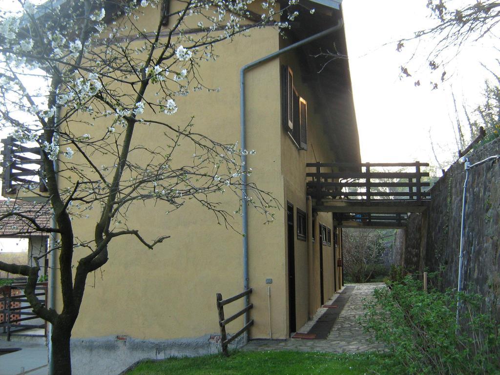 Fattoria Del Pino Bed & Breakfast Орта Сан Джулио Екстериор снимка