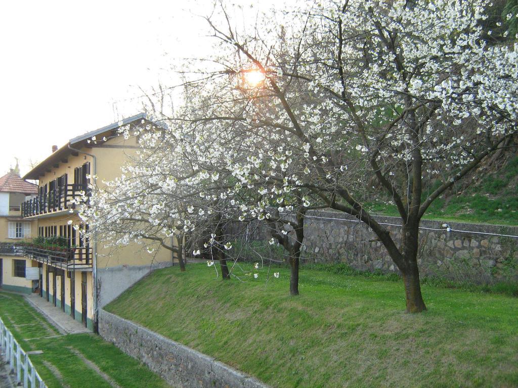 Fattoria Del Pino Bed & Breakfast Орта Сан Джулио Екстериор снимка