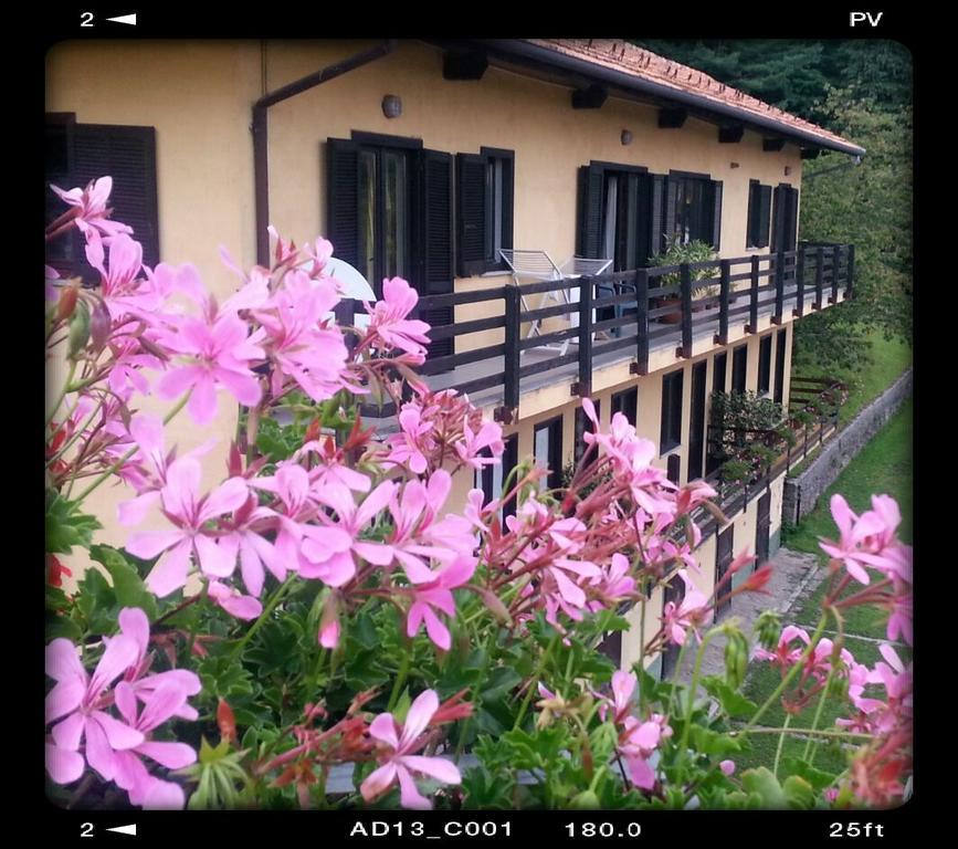 Fattoria Del Pino Bed & Breakfast Орта Сан Джулио Екстериор снимка